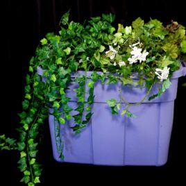 Bin of green ivy by Desiner Weddings Victoria