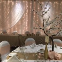 fabric backdrop with twinkle lights by Designer Weddings Victoria BC